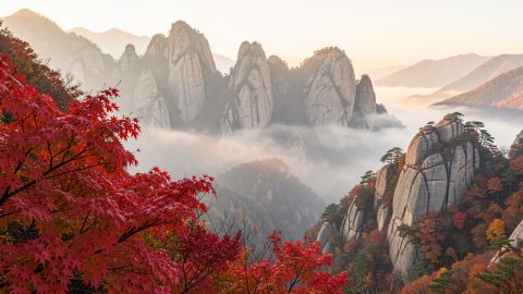 Vue automnale du parc national de Seoraksan avec des érables rouges au premier plan, des pics granitiques et une légère brume dans la lumière douce du matin.